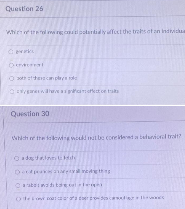 Question 26
Which of the following could potentially affect the traits of an individua
O genetics
O environment
O both of these can play a role
only genes will have a significant effect on traits
Question 30
Which of the following would not be considered a behavioral trait?
O a dog that loves to fetch
O a cat pounces on any small moving thing
O a rabbit avoids being out in the open
O the brown coat color of a deer provides camouflage in the woods
