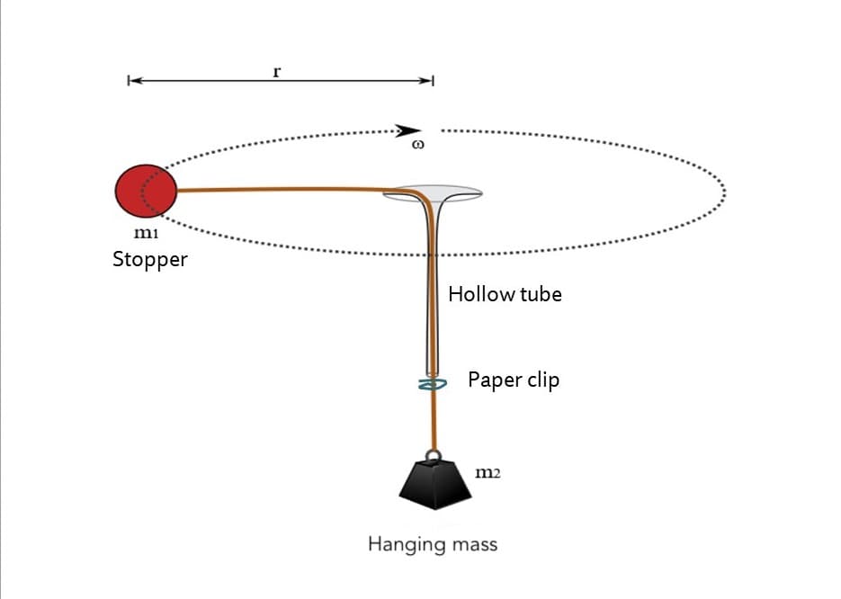 r
mi
Stopper
Hollow tube
* Paper clip
m2
Hanging mass
