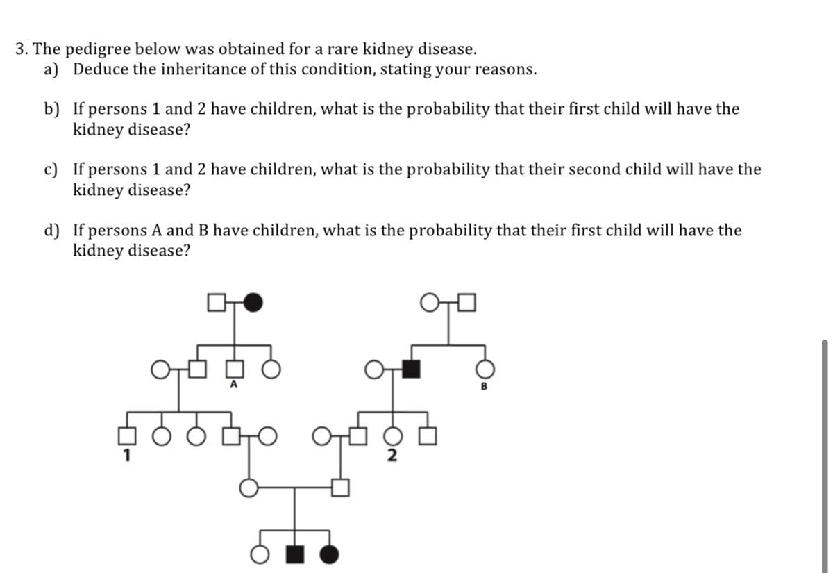 3. The pedigree below was obtained for a rare kidney disease.
a) Deduce the inheritance of this condition, stating your reasons.
b) If persons 1 and 2 have children, what is the probability that their first child will have the
kidney disease?
c) If persons 1 and 2 have children, what is the probability that their second child will have the
kidney disease?
d) If persons A and B have children, what is the probability that their first child will have the
kidney disease?
어ㅁ
poo to op
9070
be