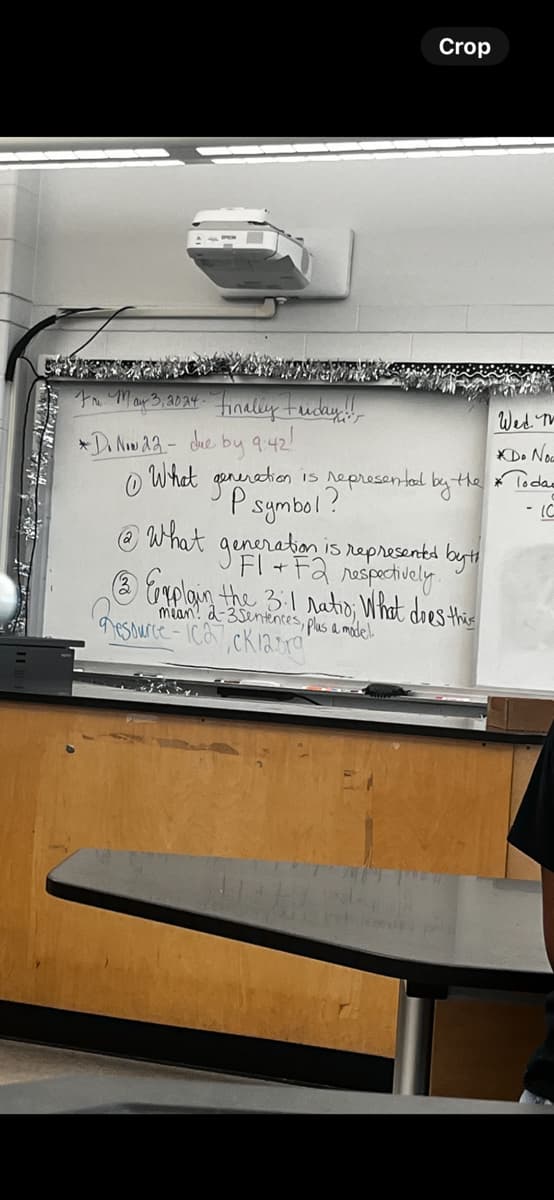 Crop
Fr. May 3, 2024. Finally Friday!
*D. Nov 22- due by 9:42
What
What
generation
Wed M
Do No
is represented by the * Today
-10
Psymbol?
generation is represented by th
F2 respectively.
③ Explain the 3:1 ratio; What does this
Resource ca, ck12.org
mean! 2-3 Sentences, plus a model.