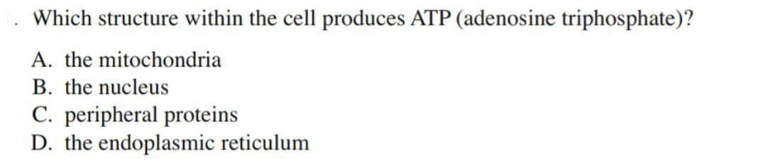 Which structure within the cell produces ATP (adenosine triphosphate)?
A. the mitochondria
B. the nucleus
C. peripheral proteins
D. the endoplasmic reticulum
