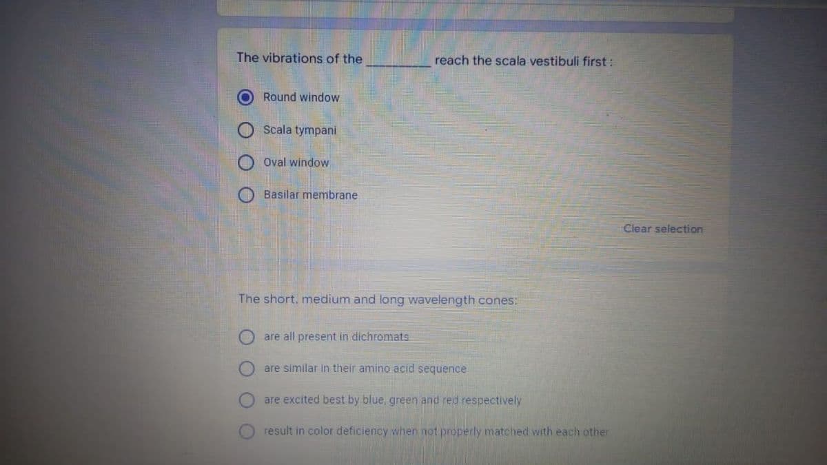The vibrations of the
reach the scala vestibuli first:
Round window
Scala tympani
O oval window
Basilar membrane
Clear selection
The short, medium and long wavelength cones:
are all present in dichromats
are similar in their amino acid sequence
are excited best by blue, green and red respectively
result in color deficiency when not properly matched with each other
