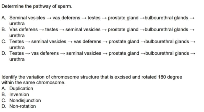 Determine the pathway of sperm.
A. Seminal vesicles → vas deferens → testes → prostate gland →bulbourethral glands →
urethra
B. Vas deferens → testes → seminal vesicles → prostate gland →bulbourethral glands →
urethra
C. Testes → seminal vesicles → vas deferens → prostate gland -bulbourethral glands →
urethra
D. Testes → vas deferens → seminal vesicles → prostate gland -bulbourethral glands →
urethra
Identify the variation of chromosome structure that is excised and rotated 180 degree
within the same chromosome.
A. Duplication
B. Inversion
C. Nondisjunction
D. Non-rotation

