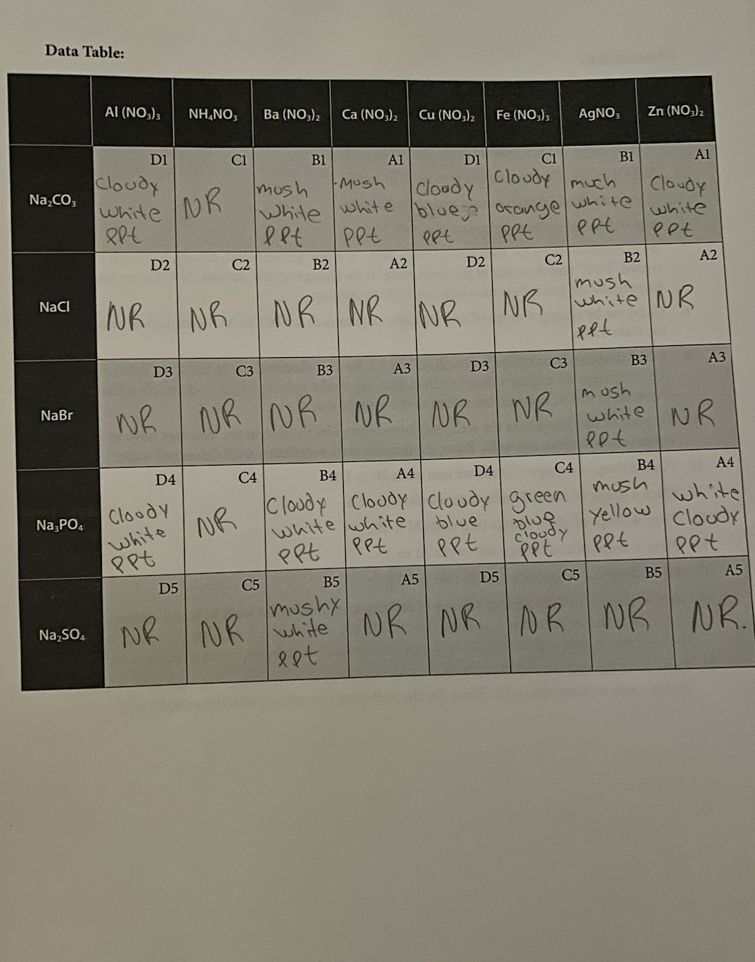 Data Table:
Na₂CO3
NaCl
NaBr
Na3PO4
Na₂SO4
AI (NO3)3 NH4NO3 Ba(NO3)2
D1
Cloudy
White NR
elt
NR
D2
D3
D4
Cloody
White
Ppt
NR
NR NR
D5
C1
NR
C2
C3
C4
mosh
White
let
C5
NR NR
B1
B2
B3
Ca (NO3)₂
A1
B4
Mush
white
pot
A2
NR NR NR
NR NR
A3
Cu (NO3)2
A5
B5
mushy
white NR
est
D1
Cloudy
bluege orange
ppt
Ppt
D2
NR
D3
Fe (NO3)3
ᎠᏎ
C1
Cloudy much
C2
D5
C3
A4
Cloudy Cloudy Cloudy green
white white
blue
Ppt
Ppt
Ppt
NR
C4
AgNO3
Dlug
cloudy
Ppt
mush
NR white NR
pet
white
PPE
NR NR
B1
C5
B2
B3
Zn (NO3)₂
Cloudy
white
eet
mush
Yellow
pet
B4
Al
mush
white NR
Pet
B5
A2
A3
A4
white
Cloudy
ppt
A5
NR NR.