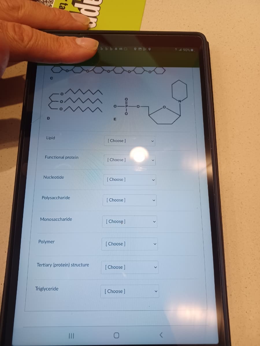 D
Lipid
Functional protein
ta
Pr
Nucleotide
Polysaccharide
Monosaccharide
Polymer
Tertiary (protein) structure
Triglyceride
|||
bbbam
E
(
11
-P
O
[Choose ]
[Choose ]
[Choose]
[Choose ]
[Choose ]
[Choose ]
[Choose ]
O
[Choose]
6886
<
490%