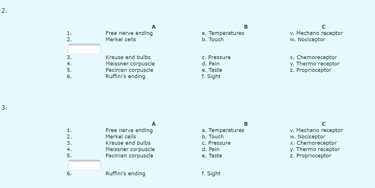 2.
A
В
C
Free nerve ending
Merkel cells
v. Mechano receptor
w. Nociceptor
1.
a. Temperatures
b. Touch
2.
c. Pressure
d. Pain
x. Chemoreceptor
y. Thermo receptor
z. Proprioceptor
3.
Krause end bulbs
Meissner corpuscle
Pacinian corpuscle
Ruffini's ending
4.
e. Taste
f. Sight
5.
6.
3.
А
В
Free nerve ending
Merkel cells
Krause end bulbs
Meissner corpuscle
Pacinian corpuscle
v. Mechano receptor
w. Nociceptor
x. Chemoreceptor
y. Thermo receptor
z. Proprioceptor
1.
a. Temperatures
b. Touch
c. Pressure
d. Pain
5.
e. Taste
Ruffini's ending
f. Sight
6.
