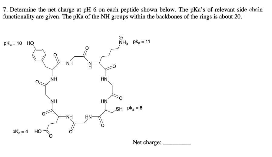 7. Determine the net charge at pH 6 on each peptide shown below. The pKa's of relevant side chain
functionality are given. The pKa of the NH groups within the backbones of the rings is about 20.
pK₂= 10 HO
NH3 pk₂ = 11
-NH
pK₂=4 HO-
NH
NH
-NH
HN
HN
HN
SH pk₂ = 8
Net charge: