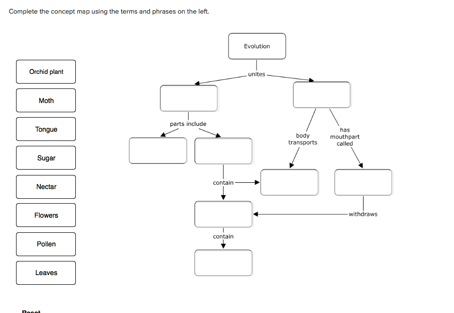 Complete the concept map using the terms and phrases on the left.
Orchid plant
Moth
Tongue
Sugar
Nectar
Flowers
Pollen
Leaves
Bogot
parts include
contain
contain
Evolution
.unites
body
transports
has
mouthpart
called
-withdraws