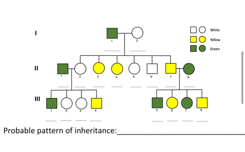 =
Probable pattern of inheritance:
5
☐O White
Yellow
Green
O