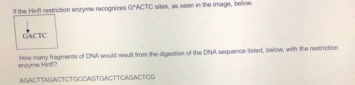 If the Hinfl restriction enzyme recognizes G^ACTC sites, as seen in the image, below.
GACTC
How many fragments of DNA would result from the digestion of the DNA sequence listed, below, with the restriction
enzyme Hinfl?
AGACTTAGACTCTGCCAGTGACTTCAGACTCG
