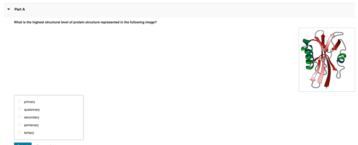 Part A
What is the highest structural level of protein structure represented in the following image?
primary
quaternary
secondary
pentanary
tertiary
O O
