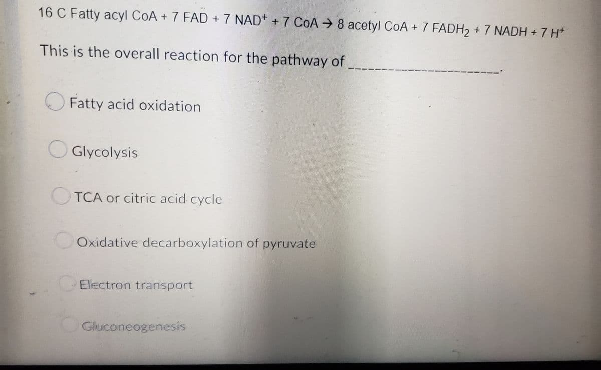 16 C Fatty acyl CoA + 7 FAD + 7 NAD+ + 7 COA → 8 acetyl CoA + 7 FADH₂ + 7 NADH + 7 H*
This is the overall reaction for the pathway of
Fatty acid oxidation
Glycolysis
TCA or citric acid cycle
Oxidative decarboxylation of pyruvate
Electron transport
Gluconeogenesis