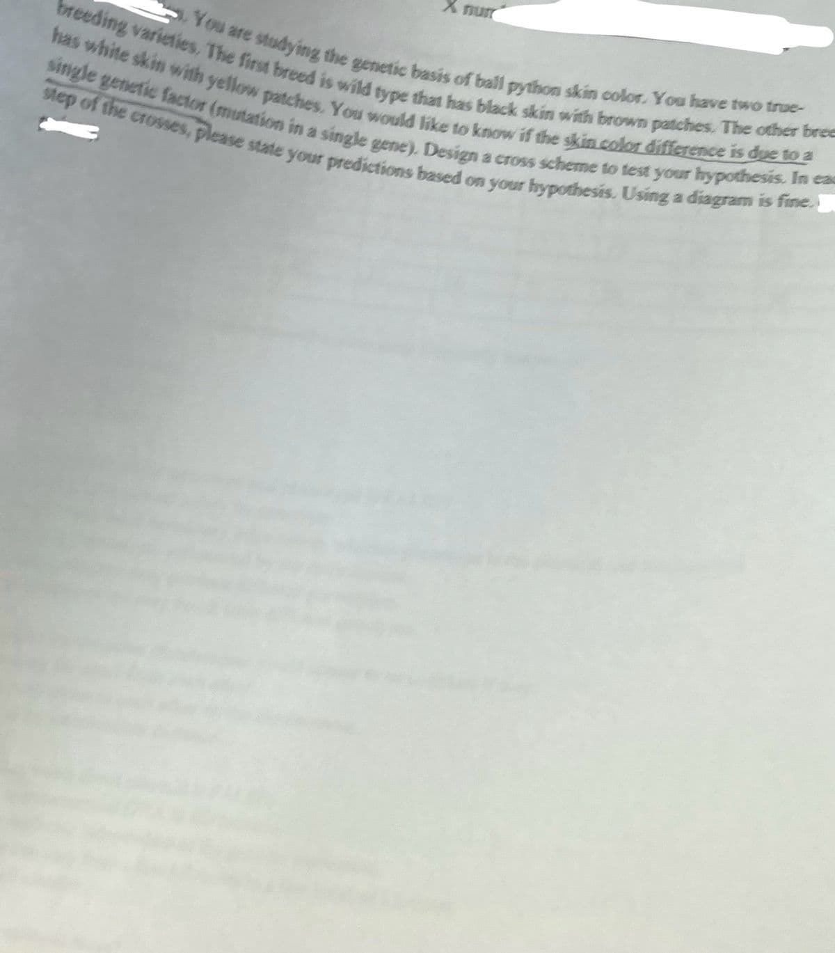 breeding varieties. The first breed is wild type that has black skin with brown patches. The other bree
You are studying the genetic basis of ball python skin color. You have two true-
has white skin with yellow patches, You would like to know if the skin color difference is due to a
step of the crosses, please state your predictions based on your hypothesis. Using a diagram is fine. I
X num