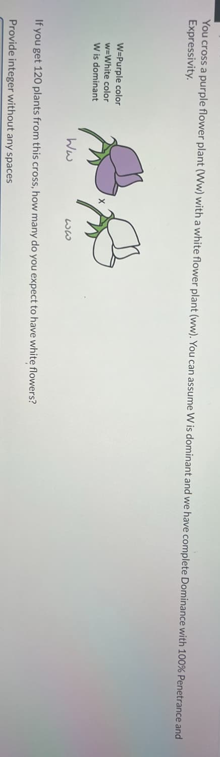 You cross a purple flower plant (Ww) with a white flower plant (ww). You can assume W is dominant and we have complete Dominance with 100% Penetrance and
Expressivity.
W=Purple color
w=White color
W is dominant
Ww
ww
If you get 120 plants from this cross, how many do you expect to have white flowers?
Provide integer without any spaces