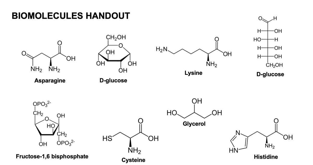 BIOMOLECULES HANDOUT
NH2 NH2
Asparagine
OP032-
CH₂
НО
ОН
ОН
ОН
CH₂
Т
OPO32-
Fructose-1,6 bisphosphate
ОН
CH₂OH
ОН
ОН
D-glucose
HS
ОН
NH2
Cysteine
H2N.
OH
НО.
Lysine
ОН
Glycerol
NH₂
ОН
ОН
N.
HN
I
H
но- -H
-Н
-ОН
-ОН
-ОН
CH2OH
D-glucose
Н-
NH₂
Histidine
ОН