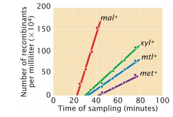 200
mal+
150
100
mtl+
50
met+
0.
40
60
Time of sampling (minutes)
20
80
100
Number of recombinants
per milliliter (×104)
