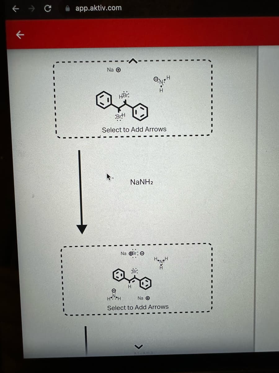 ↓
app.aktiv.com
Na Ⓒ
HBr:
Br.H
Select to Add Arrows
NaNH,
Na Br: O
e
HNH
Br:
Na O
Select to Add Arrows
N-MUI