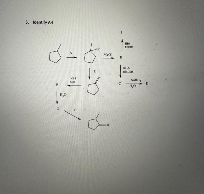 5. Identify A-l
Br
6-8-1
E
NBS
1 = 8
heat
F
H₂O
H
MeO
B
C
HBr
ROOR
(i) 0,
(ii) DMS
NaBH₁
H₂O
D