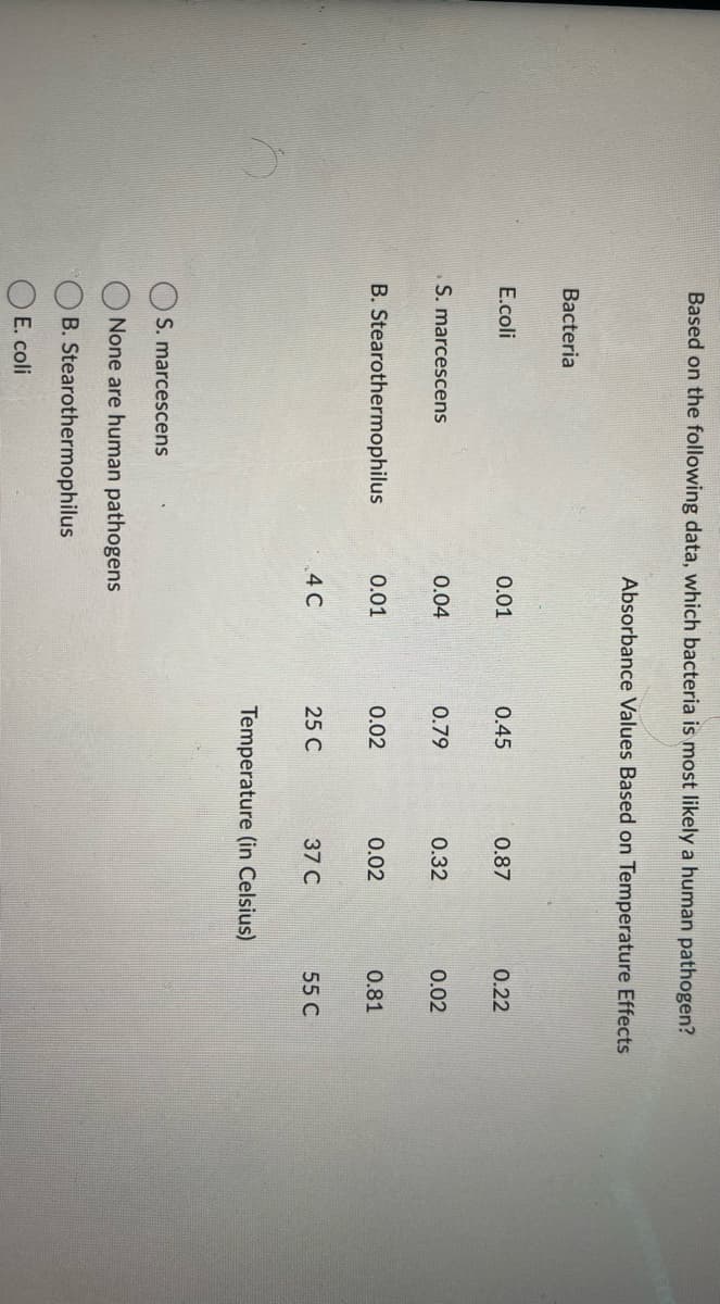 Based on the following data, which bacteria is most likely a human pathogen?
Bacteria
E.coli
S. marcescens
B. Stearothermophilus
Absorbance Values Based on Temperature Effects
B.
E. coli
0.01
0.04
0.01
4 C
S. marcescens
None are human pathogens
Stearothermophilus
0.45
0.79
0.02
25 C
0.87
0.32
0.02
37 C
Temperature (in Celsius)
0.2
0.02
0.81
55 C