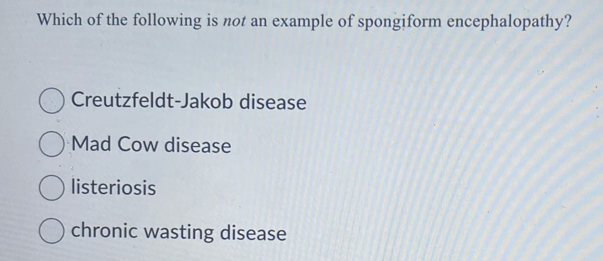 Which of the following is not an example of spongiform encephalopathy?
Creutzfeldt-Jakob disease
Mad Cow disease
listeriosis
chronic wasting disease