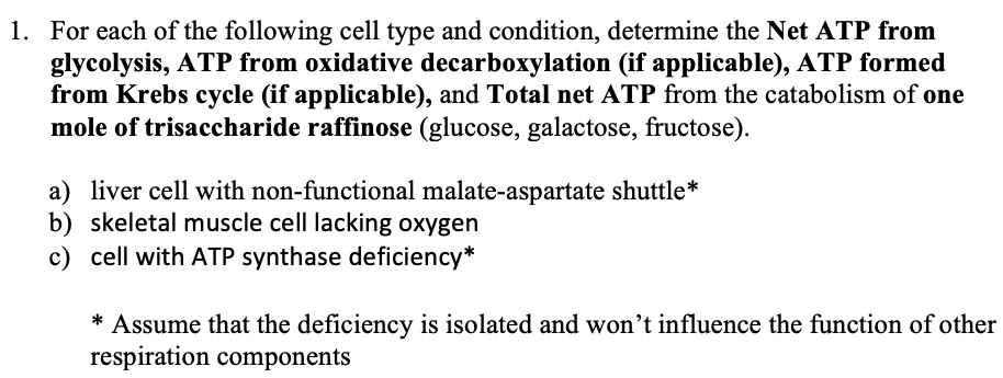 1. For each of the following cell type and condition, determine the Net ATP from
glycolysis, ATP from oxidative decarboxylation (if applicable), ATP formed
from Krebs cycle (if applicable), and Total net ATP from the catabolism of one
mole of trisaccharide raffinose (glucose, galactose, fructose).
a) liver cell with non-functional malate-aspartate shuttle*
b) skeletal muscle cell lacking oxygen
c) cell with ATP synthase deficiency*
* Assume that the deficiency is isolated and won't influence the function of other
respiration components
