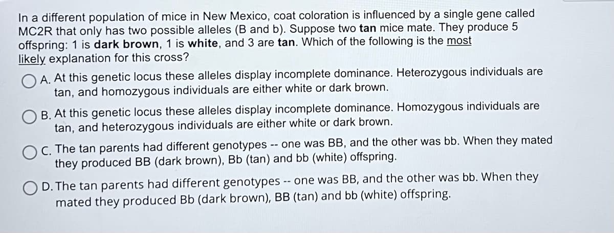 In a different population of mice in New Mexico, coat coloration is influenced by a single gene called
MC2R that only has two possible alleles (B and b). Suppose two tan mice mate. They produce 5
offspring: 1 is dark brown, 1 is white, and 3 are tan. Which of the following is the most
likely explanation for this cross?
A. At this genetic locus these alleles display incomplete dominance. Heterozygous individuals are
tan, and homozygous individuals are either white or dark brown.
B. At this genetic locus these alleles display incomplete dominance. Homozygous individuals are
tan, and heterozygous individuals are either white or dark brown.
C. The tan parents had different genotypes -- one was BB, and the other was bb. When they mated
they produced BB (dark brown), Bb (tan) and bb (white) offspring.
D. The tan parents had different genotypes
mated they produced Bb (dark brown), BB (tan) and bb (white) offspring.
-- one was BB, and the other was bb. When they
