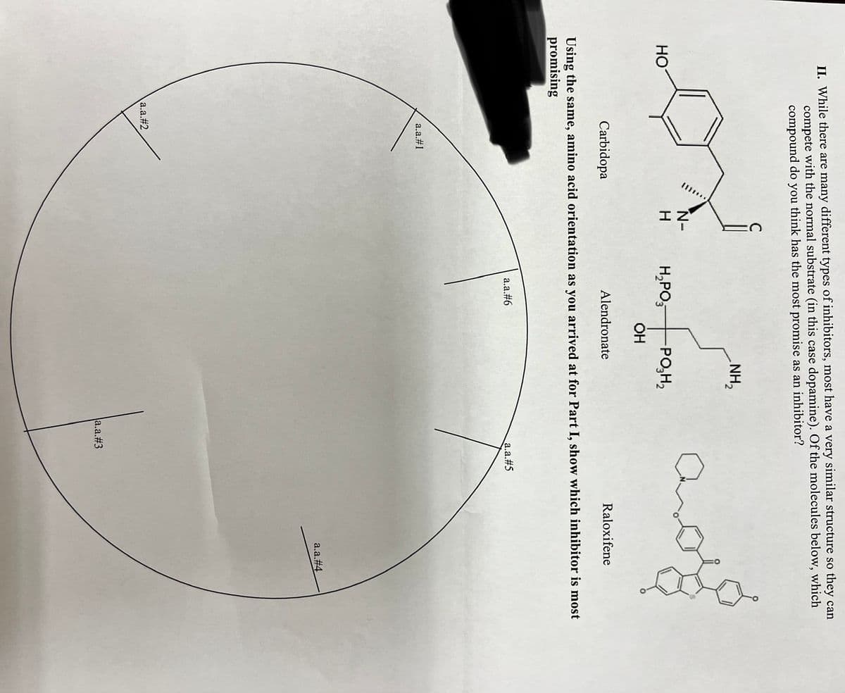 II. While there are many different types of inhibitors, most have a very similar structure so they can
compete with the normal substrate (in this case dopamine). Of the molecules below, which
compound do you think has the most promise as an inhibitor?
HO
a.a.#1
C
a.a.#2
N-
H
H₂PO
OH
Alendronate
a.a.#6
NH₂
-PO₂H₂
Carbidopa
Using the same, amino acid orientation as you arrived at for Part I, show which inhibitor is most
promising
Car
a.a.#5
a.a.#3
Raloxifene
a.a.#4