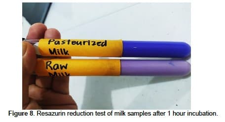 Pasteurized
Milk
Raw
Figure 8. Resazurin reduction test of milk samples after 1 hour incubation.