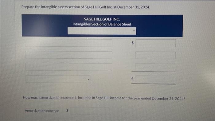 Prepare the intangible assets section of Sage Hill Golf Inc. at December 31, 2024.
SAGE HILL GOLF INC.
Intangibles Section of Balance Sheet
Amortization expense $
$
How much amortization expense is included in Sage Hill income for the year ended December 31, 2024?