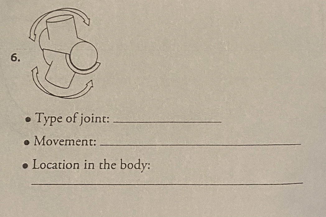 6.
Type of joint:
Movement:
Location in the body: