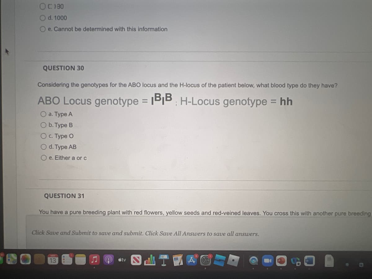 OC180
O d. 1000
O e. Cannot be determined with this information
QUESTION 30
Considering the genotypes for the ABO locus and the H-locus of the patient below, what blood type do they have?
ABO Locus genotype = 1B1B
H-Locus genotype = hh
%3D
O a. Type A
O b. Туре В
Ос. Туре О
Od. Type AB
O e. Either a or c
QUESTION 31
You have a pure breeding plant with red flowers, yellow seeds and red-veined leaves. You cross this with another pure breeding
Click Save and Submit to save and submit. Click Save All Answers to save all answers.
13
étv
