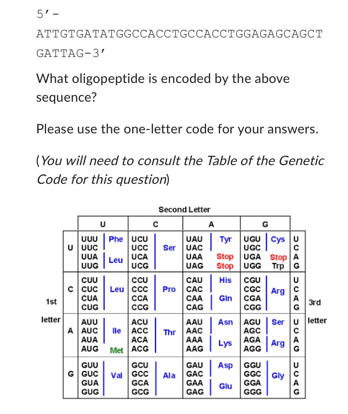 5'-
ATTGTGATATGGCCACCTGCCACCTGGAGAGCAGCT
GATTAG-3'
What oligopeptide is encoded by the above
sequence?
Please use the one-letter code for your answers.
(You will need to consult the Table of the Genetic
Code for this question)
1st
letter
UUU Phe UCU
UCC
Leu UCA
UCG
U UUC
UUA
UUG
CUU
C CUC
CUA
CUG
AUU
A AUC
AUA
AUG
U
GUU
G GUC
GUA
GUG
CCU
Leu CCC
CCA
CCG
ACU
lle ACC
ACA
Met ACG
GCU
Val GCC
GCA
GCG
с
Second Letter
Ser
Pro
Thr
Ala
UAU
UAC
A
|
AAU
AAC
AAA
AAG
GAU
GAC
GAA
GAG
Tyr
CAU
CAC
CAA Gin
CAG
1
UAA Stop UGA Stop A
UAG Stop
UGG Trp G
His
Lys
UGU
UGC
Asp
Glu
G
3rd
Asn AGU Ser U letter
AGC
AGA
AGG
Cys U
CGU
CGC Arg
CGA
CGG
GGU
GGC
GGA
GGG
DCAG DUAG DUCAG
Arg
Gly
UCAG