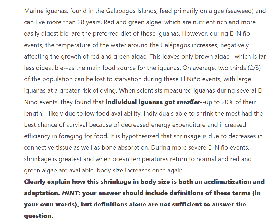 Marine iguanas, found in the Galápagos Islands, feed primarily on algae (seaweed) and
can live more than 28 years. Red and green algae, which are nutrient rich and more
easily digestible, are the preferred diet of these iguanas. However, during El Niño
events, the temperature of the water around the Galápagos increases, negatively
affecting the growth of red and green algae. This leaves only brown algae--which is far
less digestible--as the main food source for the iguanas. On average, two thirds (2/3)
of the population can be lost to starvation during these El Niño events, with large
iguanas at a greater risk of dying. When scientists measured iguanas during several El
Niño events, they found that individual iguanas got smaller--up to 20% of their
length!--likely due to low food availability. Individuals able to shrink the most had the
best chance of survival because of decreased energy expenditure and increased
efficiency in foraging for food. It is hypothesized that shrinkage is due to decreases in
connective tissue as well as bone absorption. During more severe El Niño events,
shrinkage is greatest and when ocean temperatures return to normal and red and
green algae are available, body size increases once again.
Clearly explain how this shrinkage in body size is both an acclimatization and
adaptation. HINT: your answer should include definitions of these terms (in
your own words), but definitions alone are not sufficient to answer the
question.
