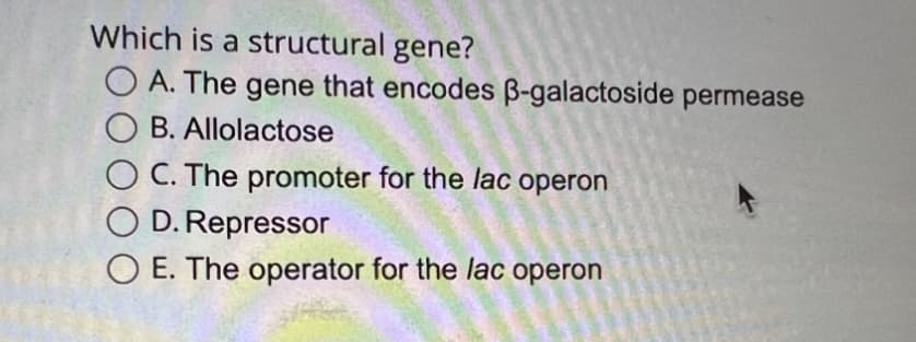 Which is a structural gene?
OA. The gene that encodes ß-galactoside permease
OB. Allolactose
OC. The promoter for the lac operon
OD. Repressor
O E. The operator for the lac operon