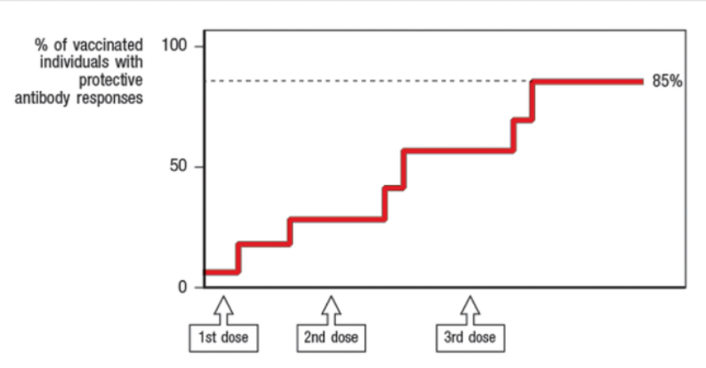 % of vaccinated 100
individuals with
protective
antibody responses
85%
50
1st dose
2nd dose
3rd dose
