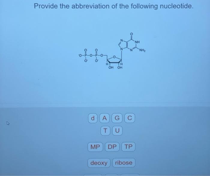 17
Provide the abbreviation of the following nucleotide.
ofotored
H
OH OH
d A G C
T U
MP DP TP
deoxyribose
NH
NH₂