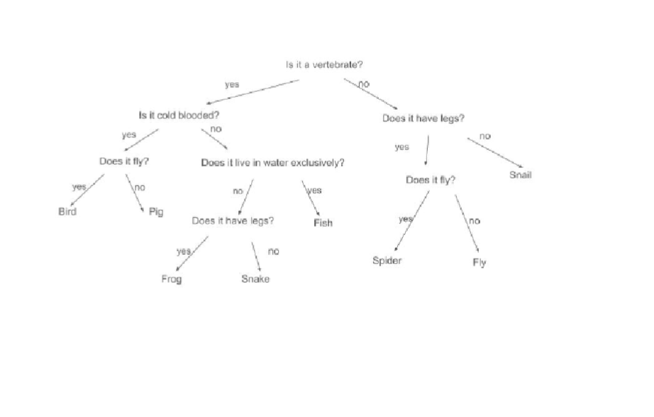 yes
Bird
Is it cold blooded?
yes
Does it fly?
Pig
yes
Frog
no
yes
Does it live in water exclusively?
no
Does it have legs?
no
Is it a vertebrate?
Snake
Fish
Does it have legs?
Į
Does it fly?
yes
Spider
no
Fly
Snail