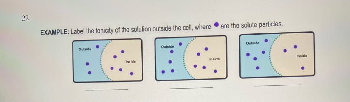 22.
EXAMPLE: Label the tonicity of the solution outside the cell, where
Outside
Inside
Outside
Inside
are the solute particles.
Outside
Inside