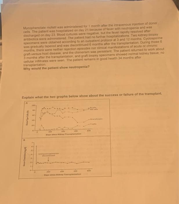 Mycophenolate mofetil was administered for 1 month after the intravenous injection of donor
cells. The patient was hospitalized on day 21 because of fever with neutropenia and was
discharged on day 23 Blood cultures were negative, but the fever rapidly resolved after
antibiotics were administered. The patient had no further hospitalizations. Two kidney-biopsy
specimens were obtained according to an outpatient protocol at 3 and 12 months. Cyclosporine
was gradually tapered and was discontinued 6 months after the transplantation. During those 6
months, there were neither rejection episodes nor clinical manifestations of acute or chronic
graft-versus-host disease, and the chimerism was persistent. The patient returned to work about
3 months after the transplantation, and graft biopsy specimens showed normal kidney tissue, no
cellular infiltrates were seen. The patient remains in good health 34 months after
transplantation.
Why would the patient show neutropenia?
Explain what the two graphs below show about the success or failure of the transplant.
yang
Serum Cine
100-
200
400
600
200
400
600
Days since Kidney Transplantation
Grandates
abo
cells
800
Feafls