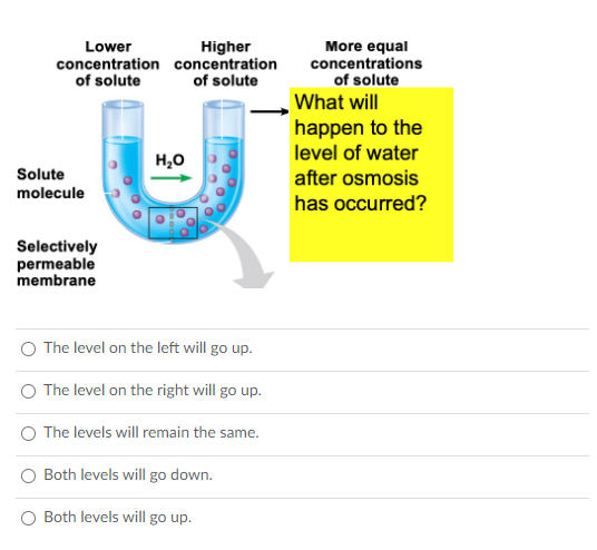 Higher
concentration concentration
of solute
More equal
concentrations
of solute
Lower
of solute
What will
happen to the
level of water
H,0
Solute
after osmosis
molecule
has occurred?
Selectively
permeable
membrane
The level on the left will go up.
The level on the right will go up.
O The levels will remain the same.
O Both levels will go down.
O Both levels will go up.
