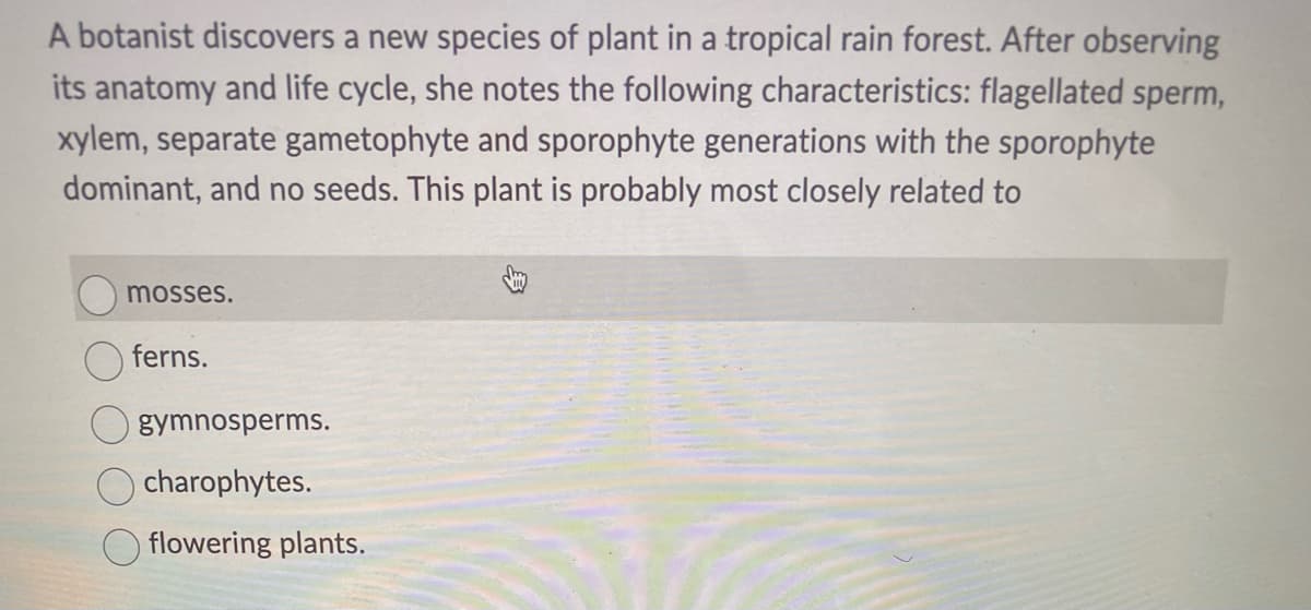 A botanist discovers a new species of plant in a tropical rain forest. After observing
its anatomy and life cycle, she notes the following characteristics: flagellated sperm,
xylem, separate gametophyte and sporophyte generations with the sporophyte
dominant, and no seeds. This plant is probably most closely related to
mosses.
ferns.
gymnosperms.
O charophytes.
flowering plants.
