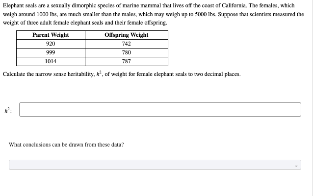 Elephant seals are a sexually dimorphic species of marine mammal that lives off the coast of California. The females, which
weigh around 1000 lbs, are much smaller than the males, which may weigh up to 5000 Ibs. Suppose that scientists measured the
weight of three adult female elephant seals and their female offspring.
Parent Weight
Offspring Weight
920
742
999
780
1014
787
Calculate the narrow sense heritability, h', of weight for female elephant seals to two decimal places.
What conclusions can be drawn from these data?
