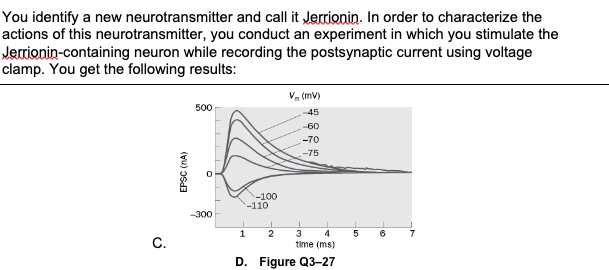 You identify a new neurotransmitter and call it Jerrionin. In order to characterize the
actions of this neurotransmitter, you conduct an experiment in which you stimulate the
Jerrionin-containing neuron while recording the postsynaptic current using voltage
clamp. You get the following results:
C.
EPSC (NA)
500
O
-300
-100
1
-110
2
3
4
time (ms)
D. Figure Q3-27
V (mv)
-45
-60
-70
-75
5