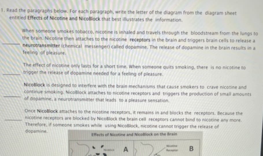 1. Read the paragraphs below. For each paragraph, write the letter of the diagram from the diagram sheet
entitled Effects of Nicotine and NicoBlock that best illustrates the information.
When someone smokes tobacco, nicotine is inhaled and travels through the bloodstream from the lungs to
the brain. Nicotine then attaches to the nicotine receptors in the brain and triggers brain cells to release a
neurotransmitter (chemical messenger) called dopamine. The release of dopamine in the brain results in a
feeling of pleasure.
The effect of nicotine only lasts for a short time. When someone quits smoking, there is no nicotine to
trigger the release of dopamine needed for a feeling of pleasure.
NicoBlock is designed to interfere with the brain mechanisms that cause smokers to crave nicotine and
continue smoking. NicoBlock attaches to nicotine receptors and triggers the production of small amounts
of dopamine, a neurotransmitter that leads to a pleasure sensation.
Once NicoBlock attaches to the nicotine receptors, it remains in and blocks the receptors. Because the
nicotine receptors are blocked by NicoBlock the brain cell receptors cannot bind to nicotine any more.
Therefore, if someone smokes while using NicoBlock, nicotine cannot trigger the release of
dopamine.
Effects of Nicotine and NicoBlock on the Brain
B
