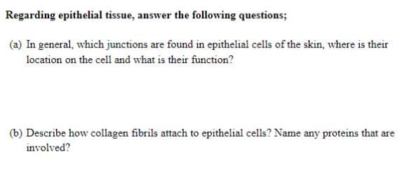 Regarding epithelial tissue, answer the following questions;
(a) In general, which junctions are found in epithelial cells of the skin, where is their
location on the cell and what is their function?
(b) Describe how collagen fibrils attach to epithelial cells? Name any proteins that are
involved?
