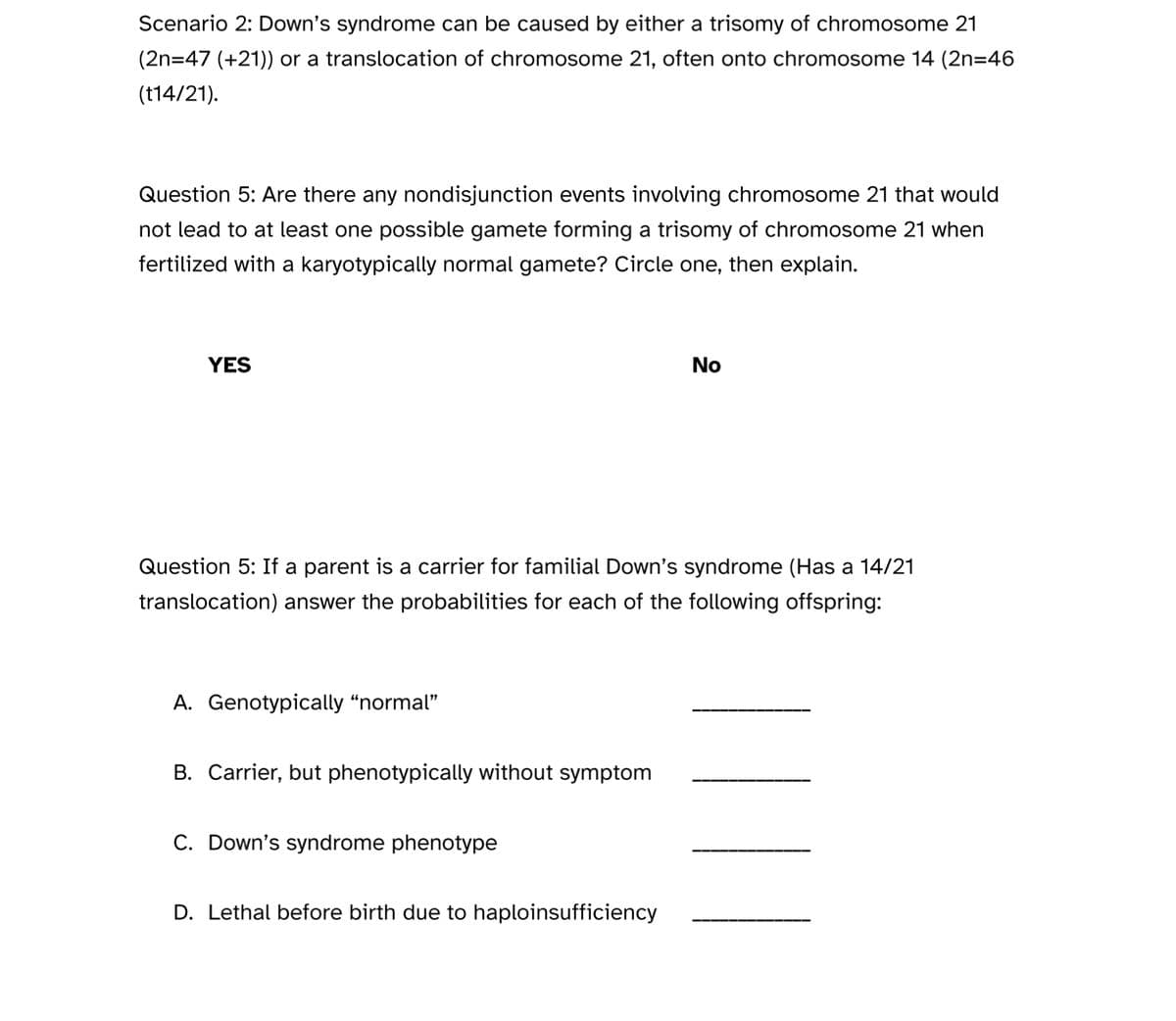 Scenario 2: Down's syndrome can be caused by either a trisomy of chromosome 21
(2n=47 (+21)) or a translocation of chromosome 21, often onto chromosome 14 (2n=46
(t14/21).
Question 5: Are there any nondisjunction events involving chromosome 21 that would
not lead to at least one possible gamete forming a trisomy of chromosome 21 when
fertilized with a karyotypically normal gamete? Circle one, then explain.
YES
Question 5: If a parent is a carrier for familial Down's syndrome (Has a 14/21
translocation) answer the probabilities for each of the following offspring:
A. Genotypically "normal"
B. Carrier, but phenotypically without symptom
C. Down's syndrome phenotype
No
D. Lethal before birth due to haploinsufficiency