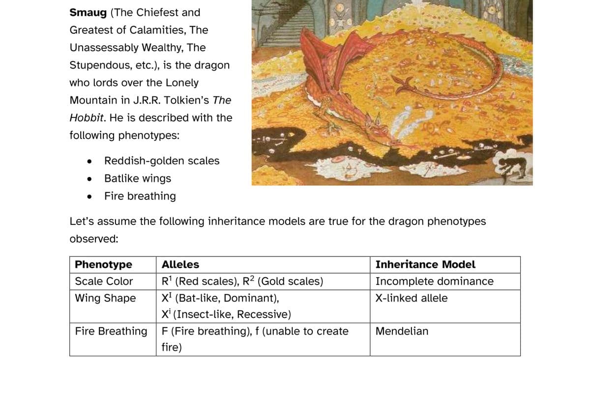 Smaug (The Chiefest and
Greatest of Calamities, The
Unassessably Wealthy, The
Stupendous, etc.), is the dragon
who lords over the Lonely
Mountain in J.R.R. Tolkien's The
Hobbit. He is described with the
following phenotypes:
Reddish-golden scales
Batlike wings
Fire breathing
Let's assume the following inheritance models are true for the dragon phenotypes
observed:
Phenotype
Scale Color
Wing Shape
Fire Breathing
Alleles
R¹ (Red scales), R² (Gold scales)
X¹ (Bat-like, Dominant),
Xi (Insect-like, Recessive)
F (Fire breathing), f (unable to create
fire)
Inheritance Model
Incomplete dominance
X-linked allele
Mendelian