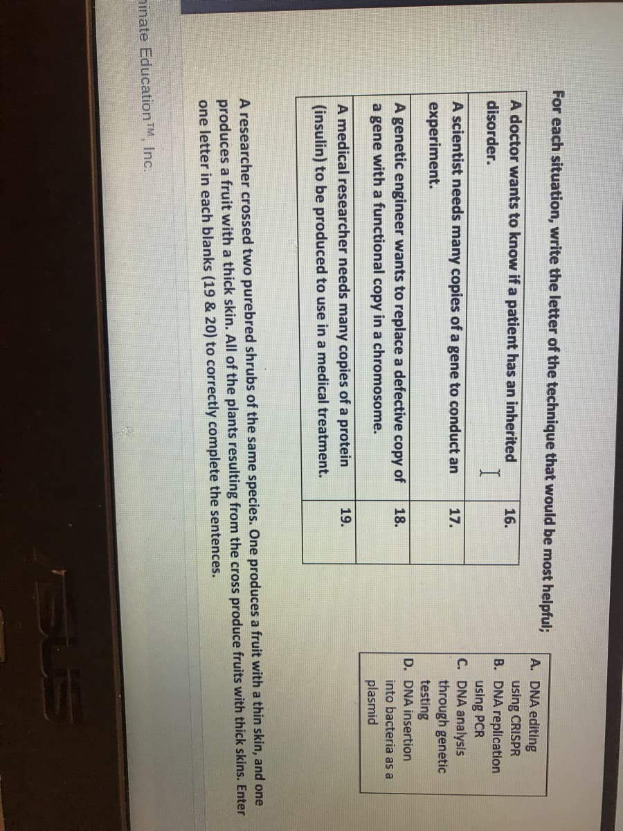 For each situation, write the letter of the technique that would be most helpful;
A. DNA editing
A doctor wants to know if a patient has an inherited
using CRISPR
B. DNA replication
using PCR
C. DNA analysis
through genetic
testing
D. DNA insertion
16.
disorder.
I
A scientist needs many copies of a gene to conduct an
17.
experiment.
A genetic engineer wants to replace a defective copy of
a gene with a functional copy in a chromosome.
18.
into bacteria as a
plasmid
A medical researcher needs many copies of a protein
19.
(insulin) to be produced to use in a medical treatment.
A researcher crossed two purebred shrubs of the same species. One produces a fruit with a thin skin, and one
produces a fruit with a thick skin. All of the plants resulting from the cross produce fruits with thick skins. Enter
one letter in each blanks (19 & 20) to correctly complete the sentences.
ninate Education TM, Inc.
