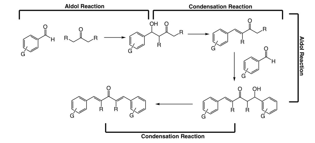 H
Aldol Reaction
R.
R
مهمة
RR
OH
R
R
Condensation Reaction
R
Dyle
los
H
prip-pil
Condensation Reaction
RR
OH
R
Aldol Reaction