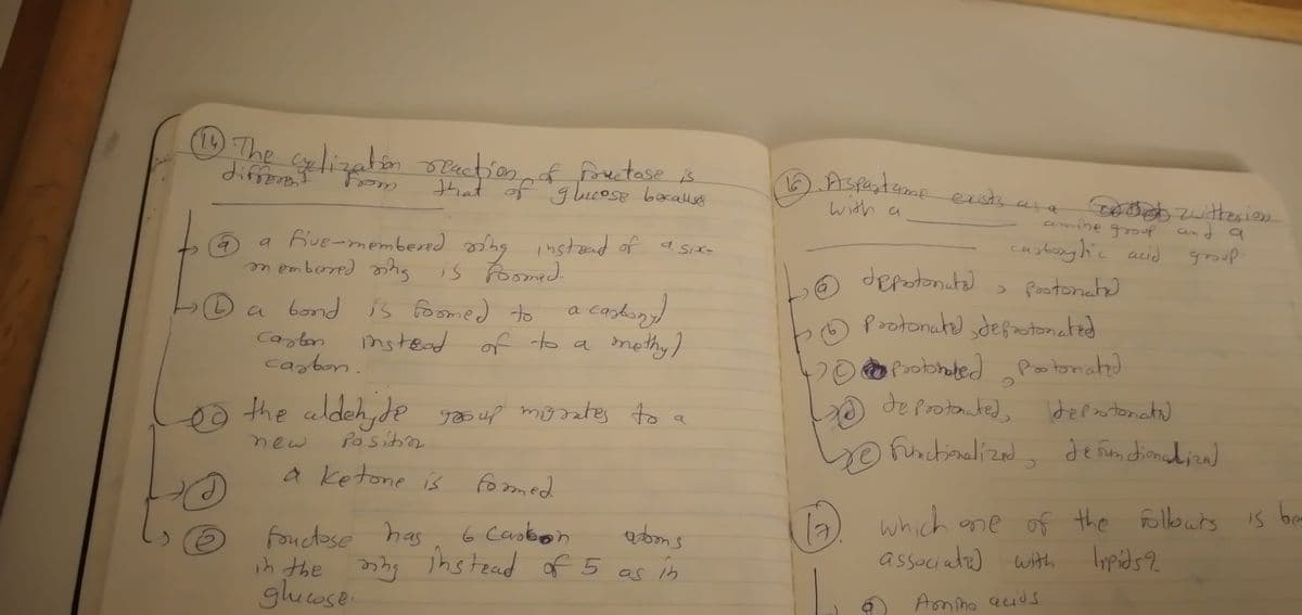 OThe ligalon ractionf
diffet
zatón oPaction
fouctose is
that of glucose bocallse
विजो exrsdrs ns o
with a
amine group amd q
cashony hic acid
> footonat)
pootonute sdefaotonated
grouß.
a fve-membered oshg instaad of asix=
membored hs
depatonuta)
is Foomed.
a bond is Fomed to a casln
Caston
mstead
of to a
methy)
opoobhated Potonated
casbon
A
de Protonnted,
Idepntonat)
the caldehyde
yooup mosates to a
Functionelizad, de fin dinediza)
Je fom dionadiza
mew
fositn
a ketone is
formed
which ane of the Followrs is be
associate)
fouctose has
6 Caobon
ipids?
with
in the
e nhy Tnstead of 5 as is
glucose
Aonmo auids.
